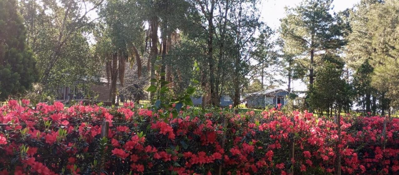 Hotel Las Azaleas Jardín América Exteriör bild