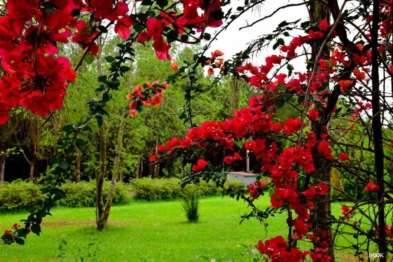 Hotel Las Azaleas Jardín América Exteriör bild